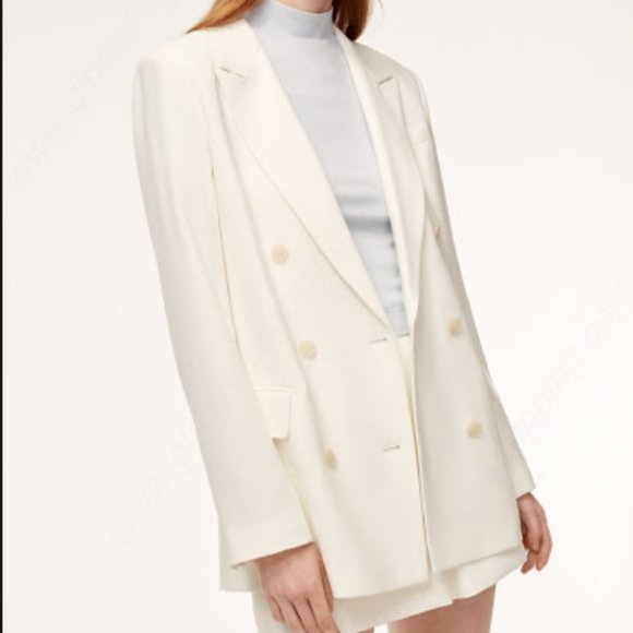 Aritzia Jackets & Blazers - Babaton Samuel Blazer